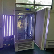 蘇州RGL-300L人工氣候培養箱
