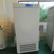 廈門RGL-300L人工氣候培養箱