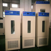 東莞LHS-250經濟型恒溫恒濕培養箱