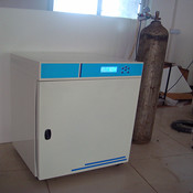 遠紅外CO2二氧化碳培養箱CHP-80A