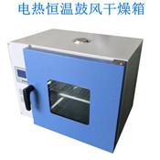 300度臺(tái)式鼓風(fēng)干燥箱
